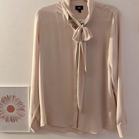 Light Pink Sheer Button Down Blouse - Picture 3 of 6